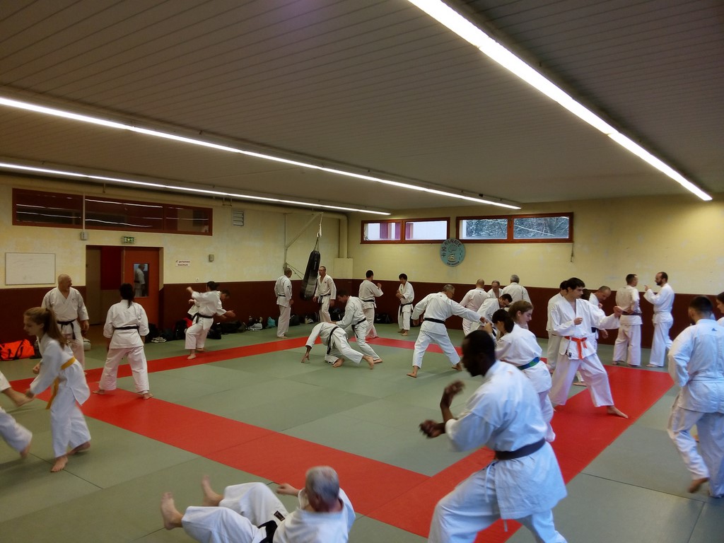le 10/02/2019 stage Taï Jitsu dirigé par Daniel Augereau, dojo de porcé St Nazaire