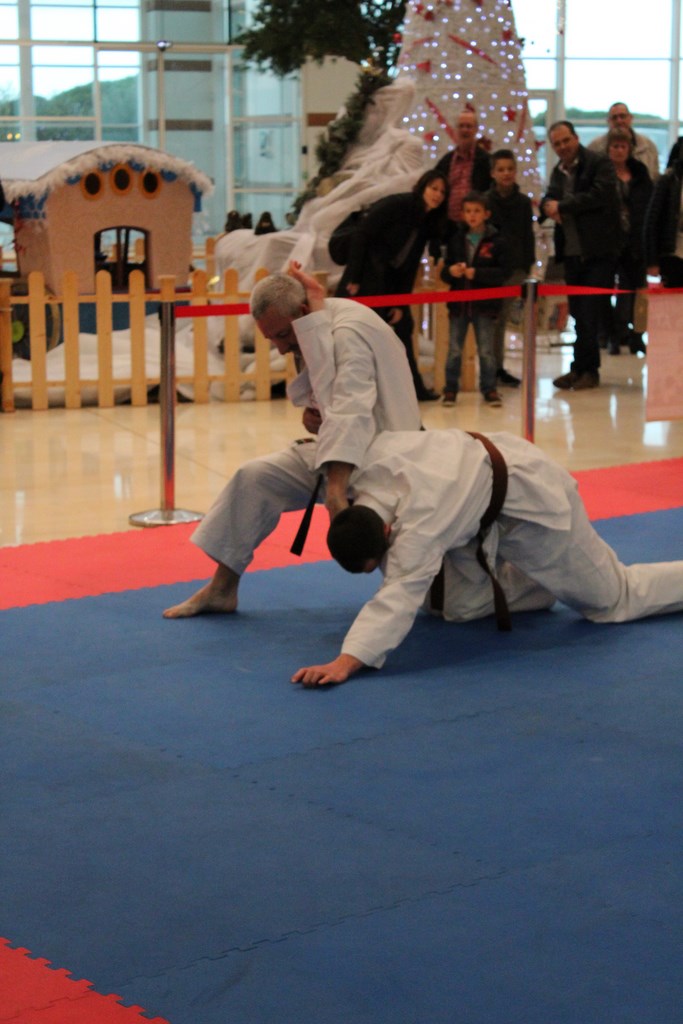 Guérande intersport Le 05/12/2015