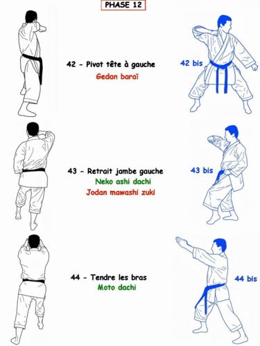 Tai-jitsu kata Godan - séquence 14
