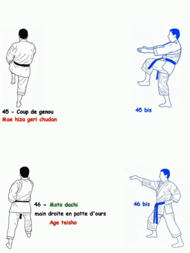 Tai-jitsu kata Godan - séquence 15