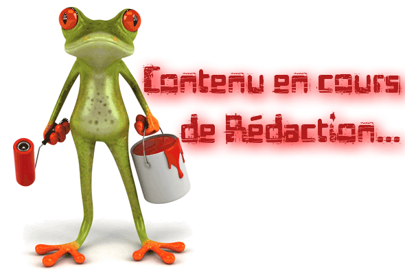 En cours de rédaction