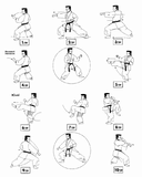 Tai-jitsu kata Nidan - séquence 1