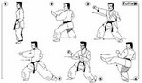 Tai-jitsu kata Shodan - séquence 1