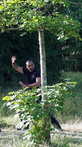 CHABOT dominique abat un arbre avec le tranchant de sa main. 